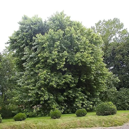 D'hôtes De Pirieuc Meillac